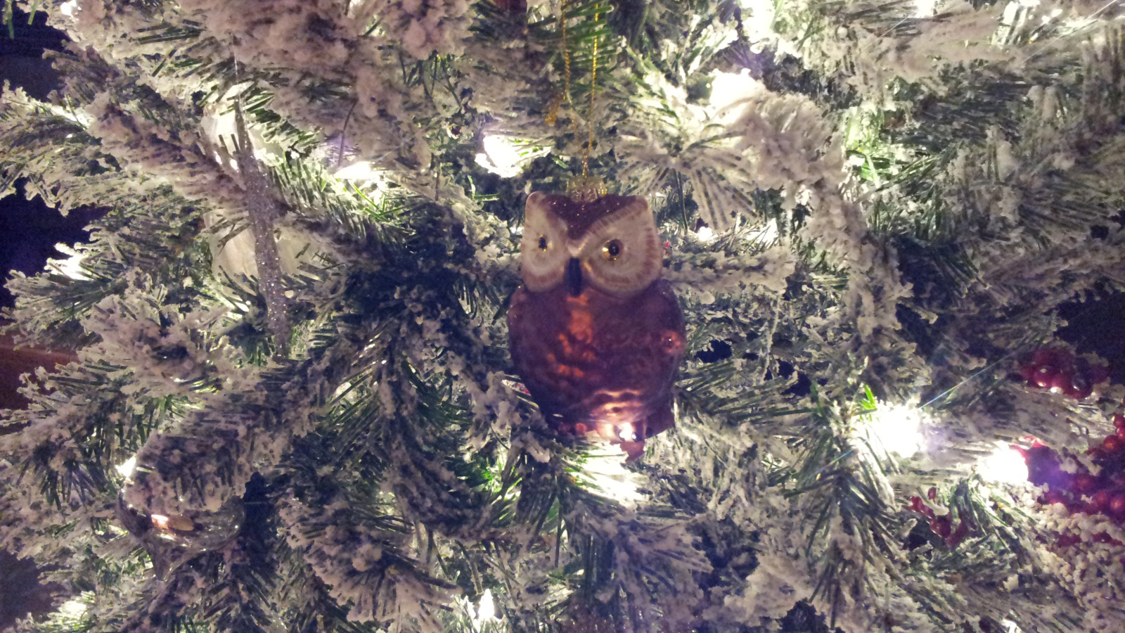 Зимний снег новогодняя елка