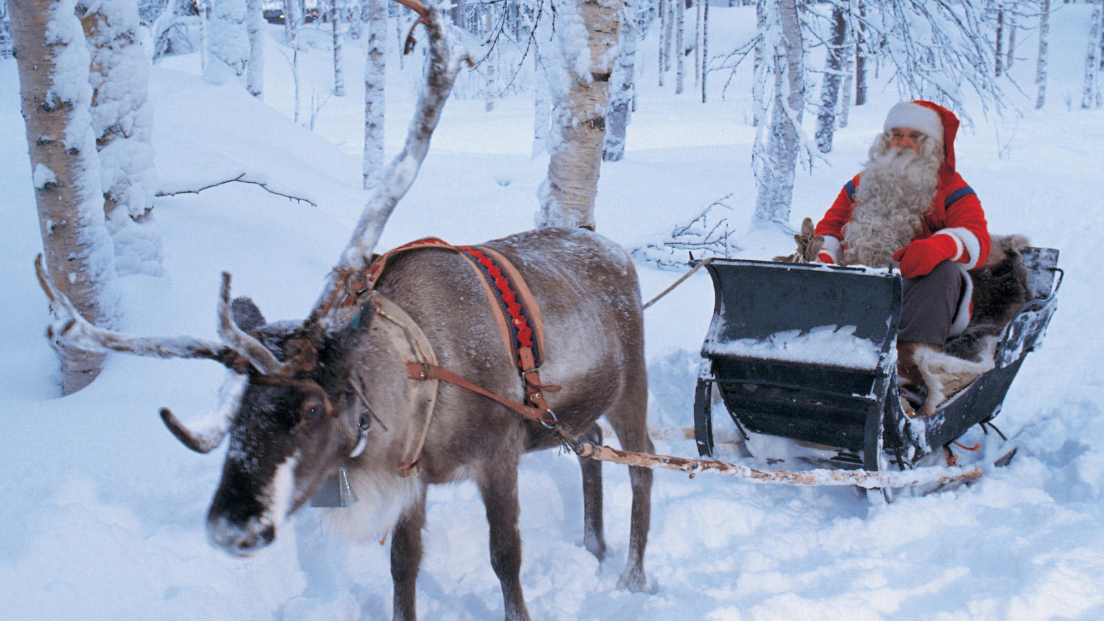 Дед мороз на санях