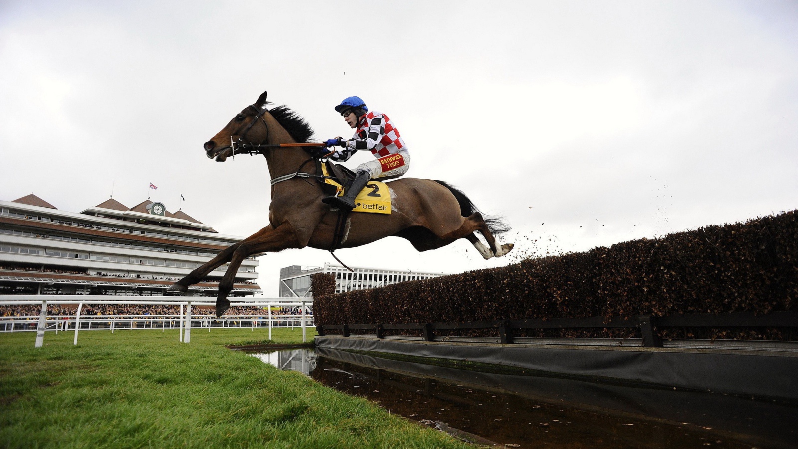 Лошадиные скачки