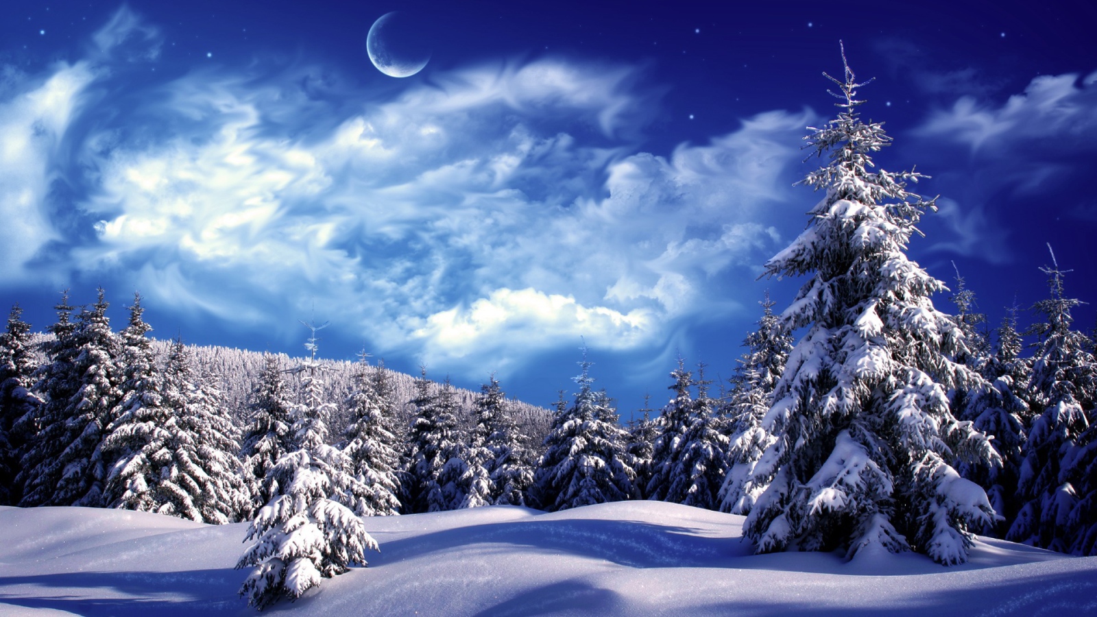 Winter forest in the moonlight