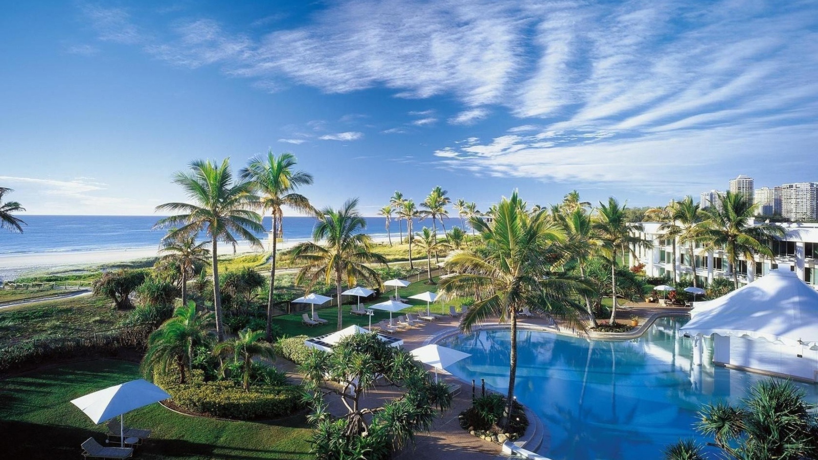 Отдых у моря под пальмами