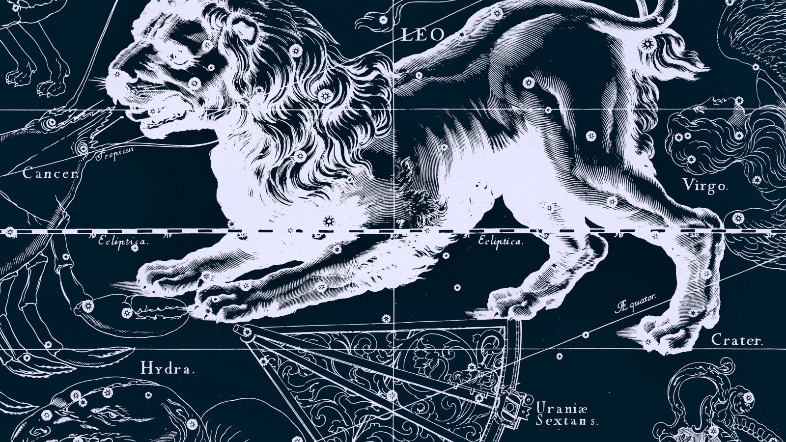 Карта звездного неба, лев