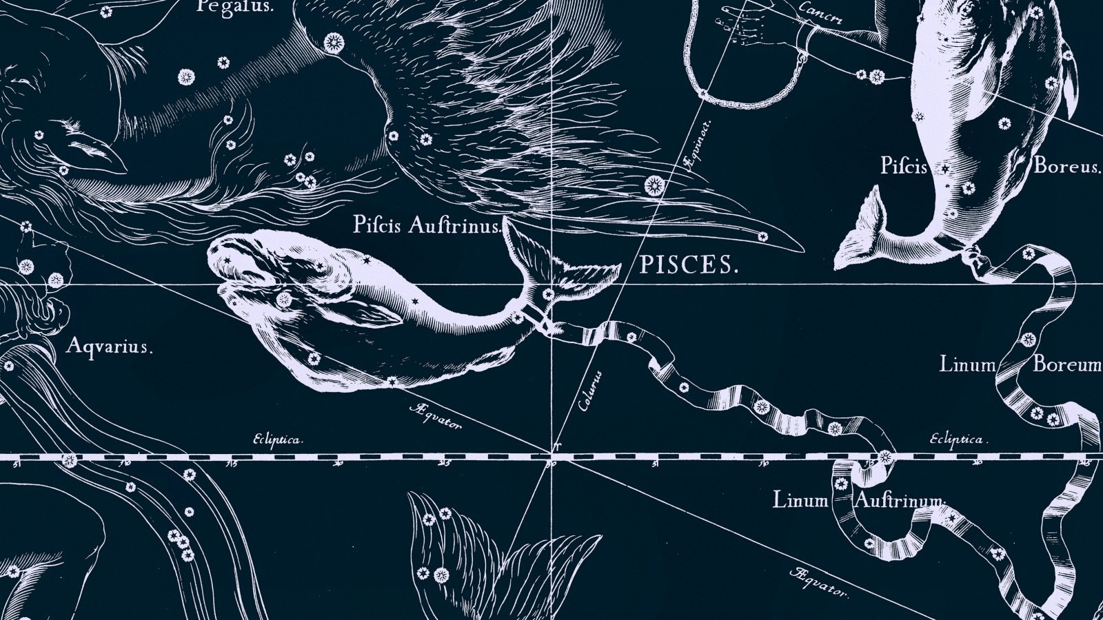 Карта звездного неба, рыбы