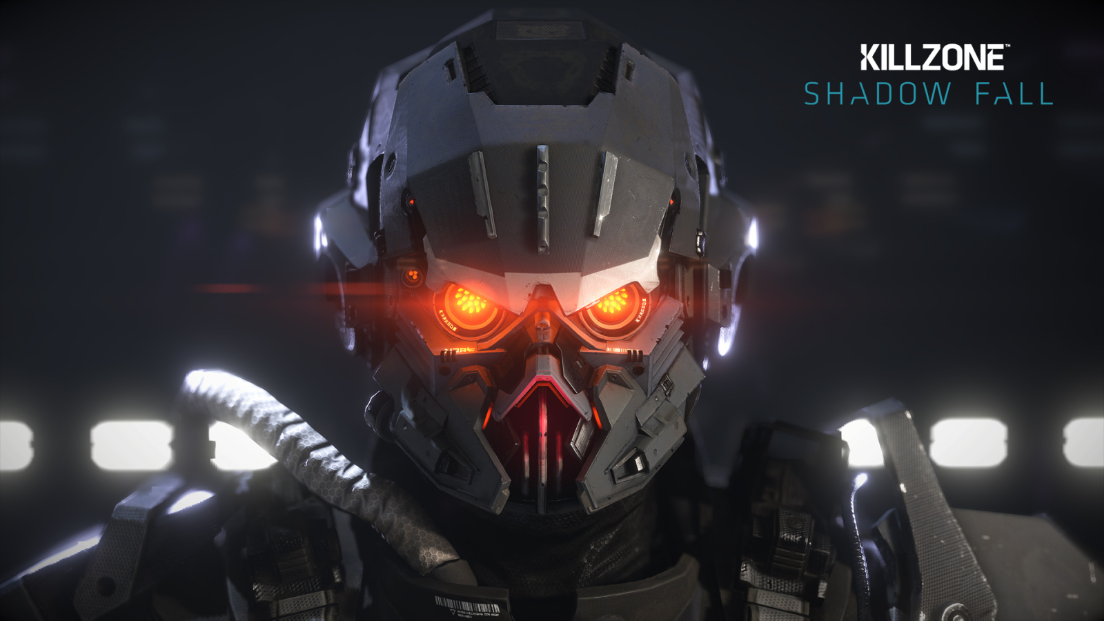 Killzone: Shadow Fall: сумасшедший взгляд