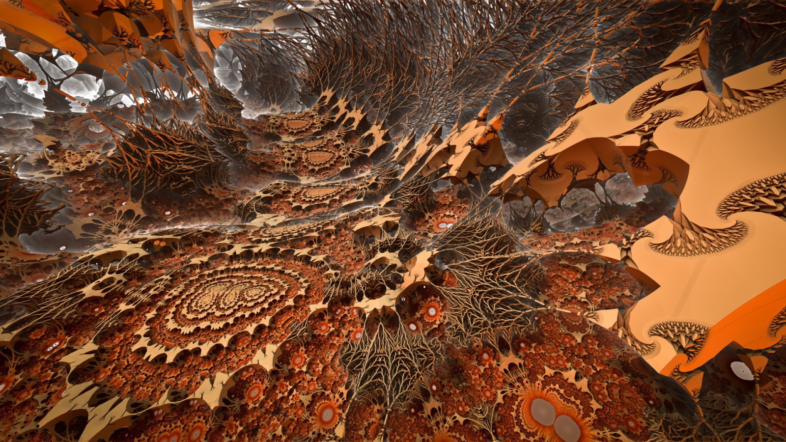 Загадочный мир корней