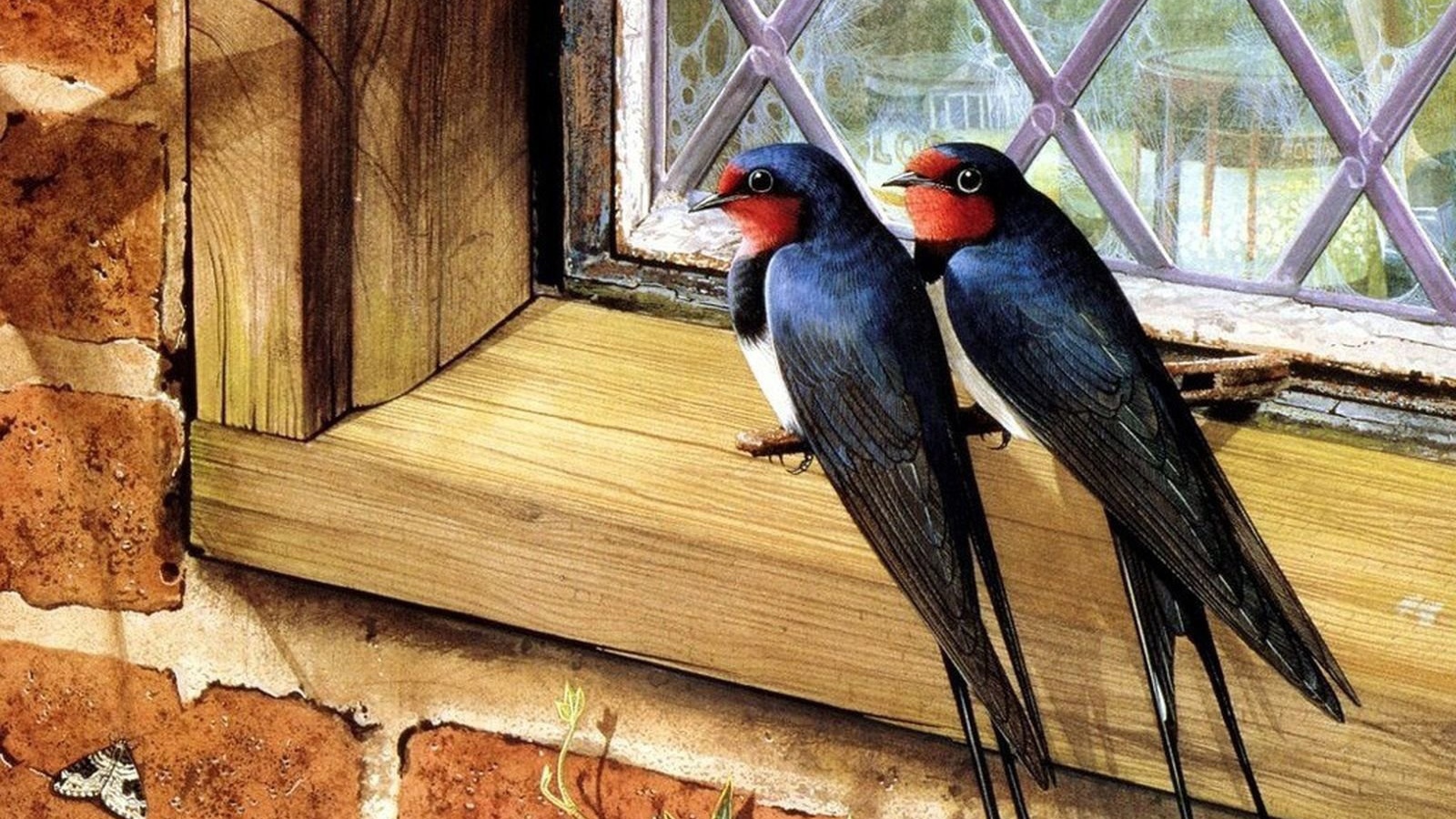 Пара птичек