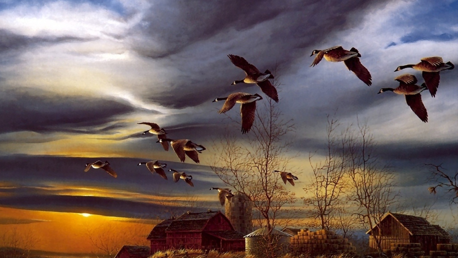 Гуси прилетели на озеро