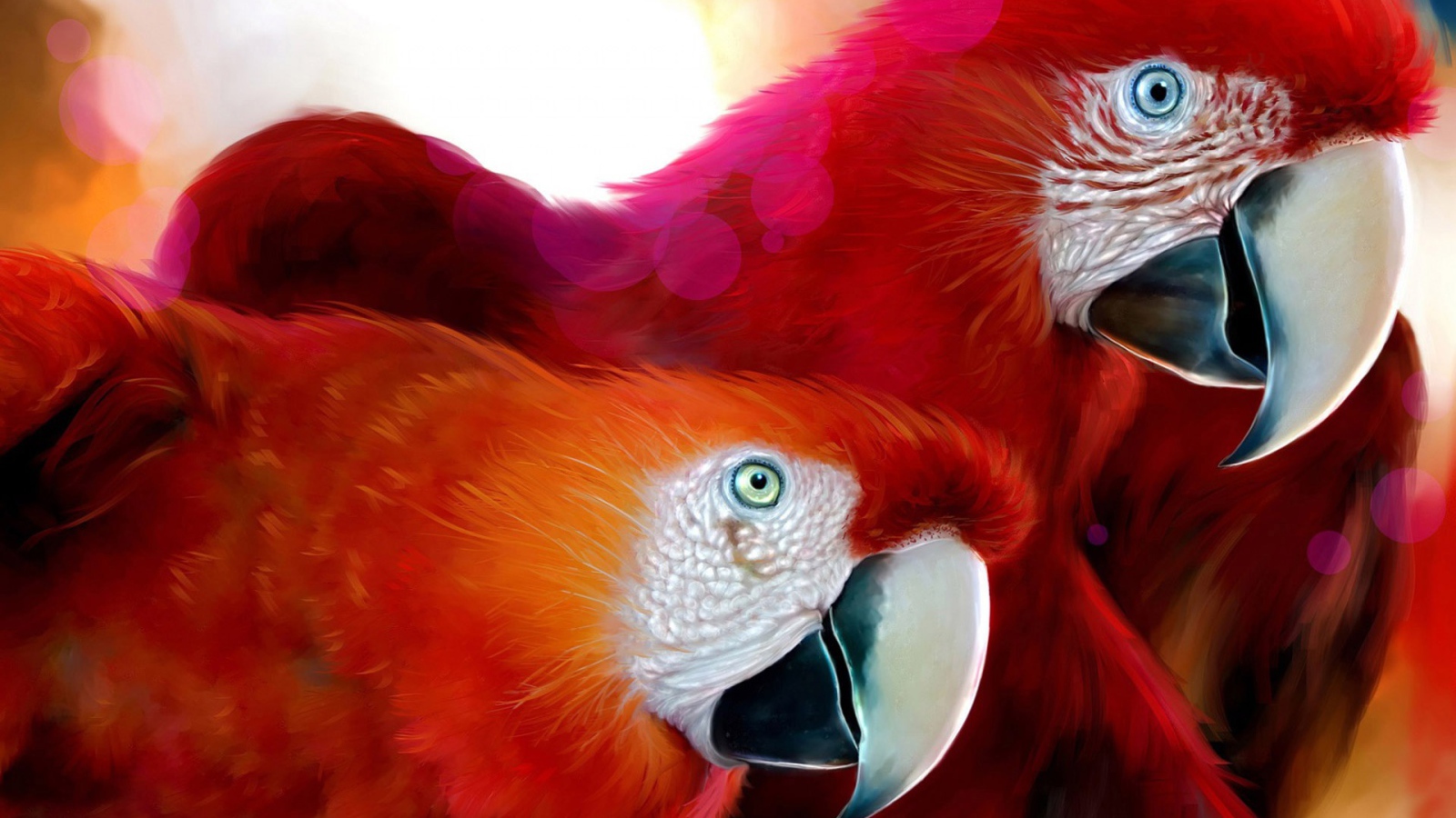 Обои с попугаями