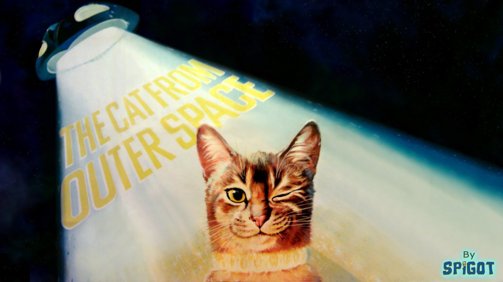 Кот подмигивает