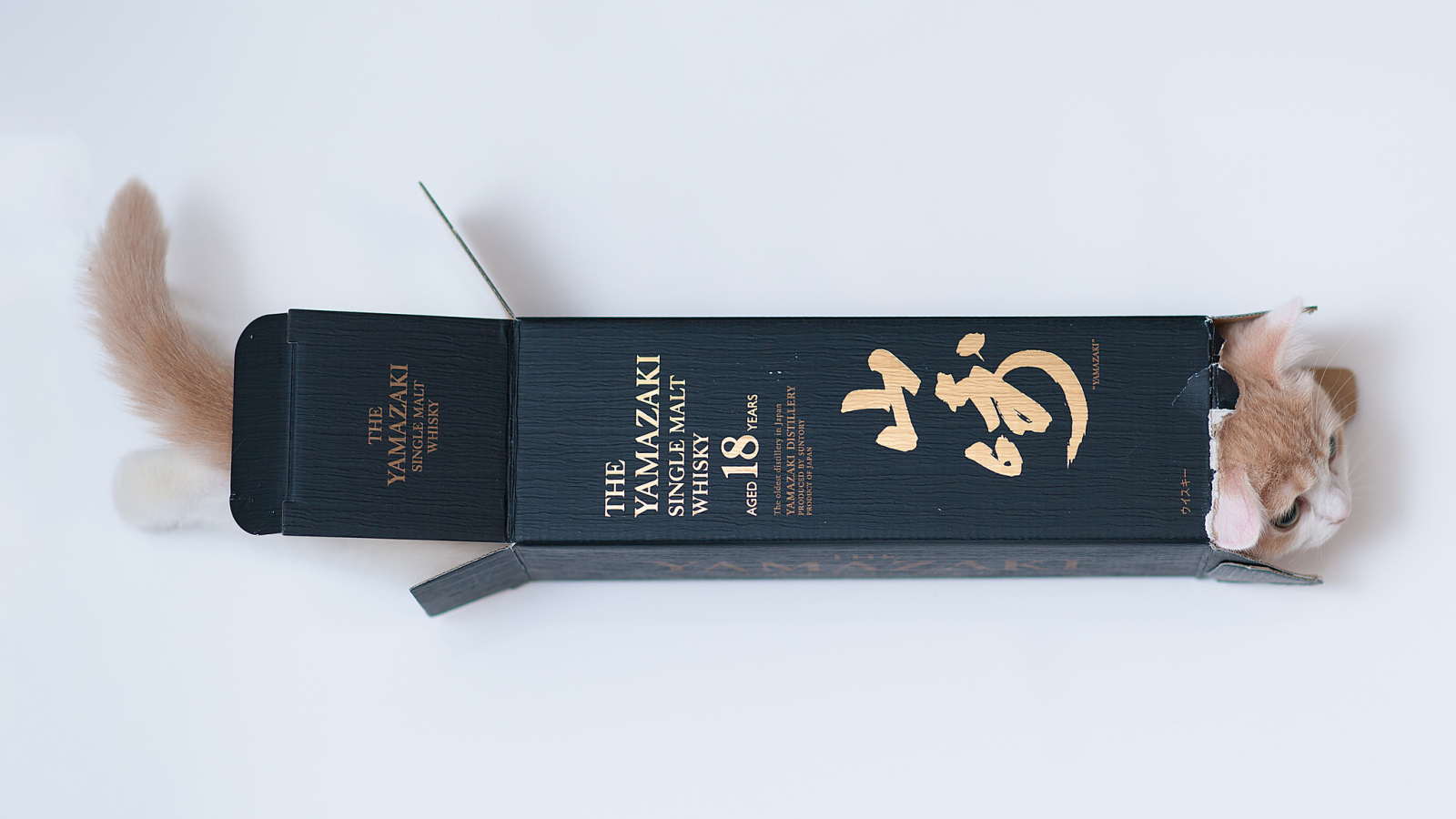 Котенок залез в коробку