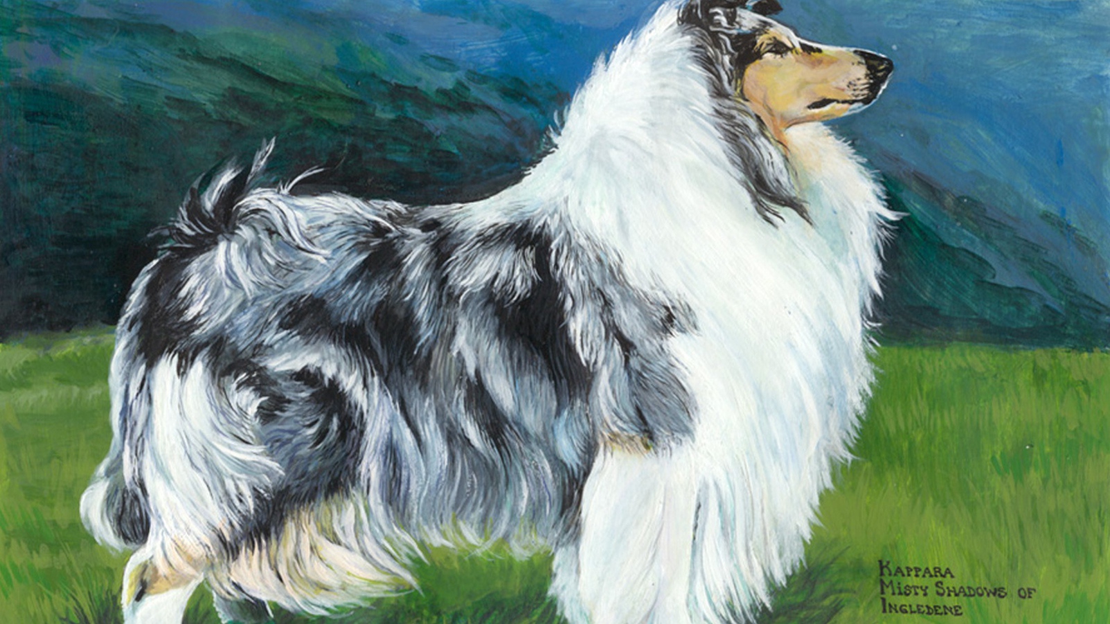 Картина с изображением колли