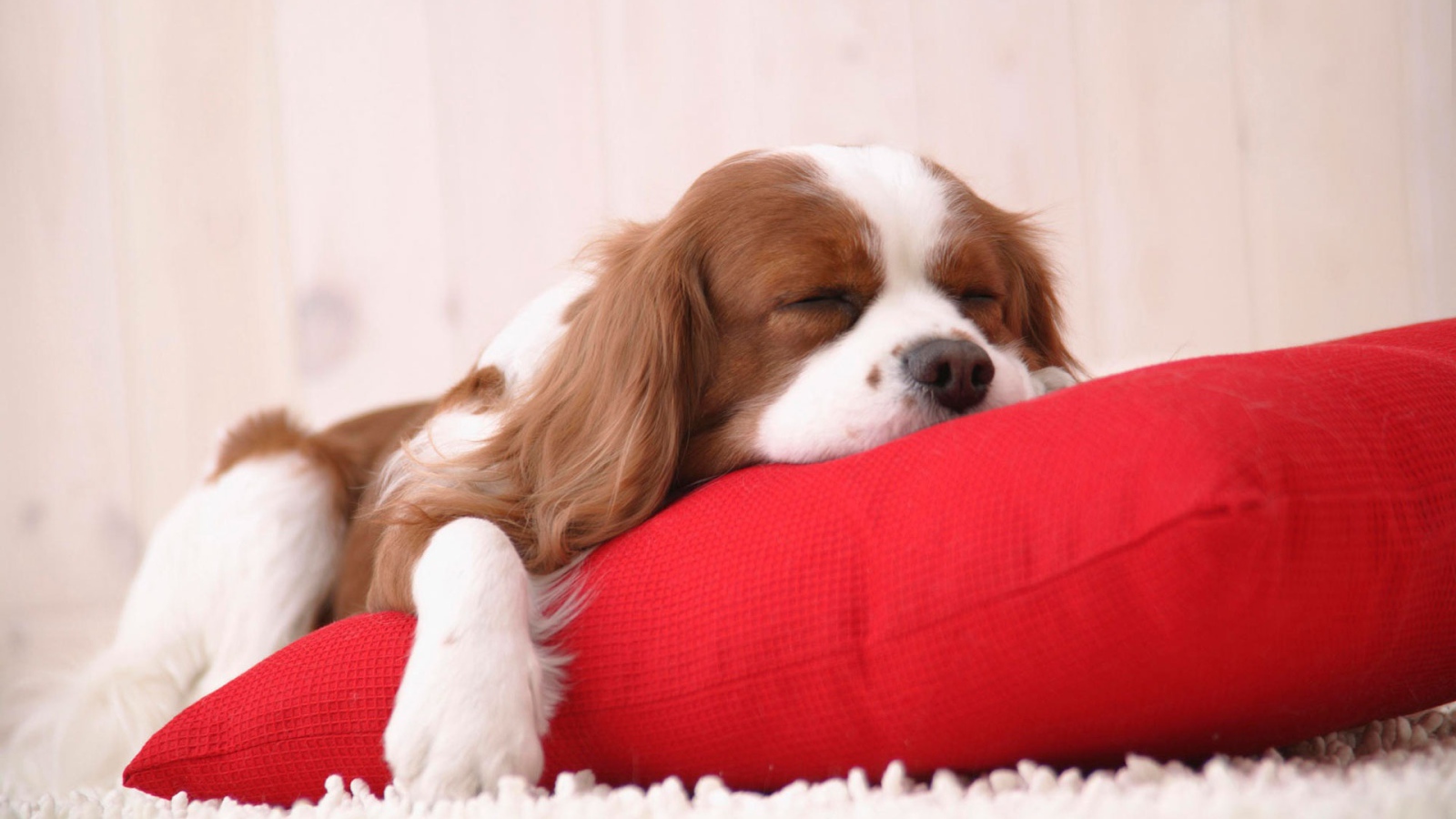 Время вздремнуть