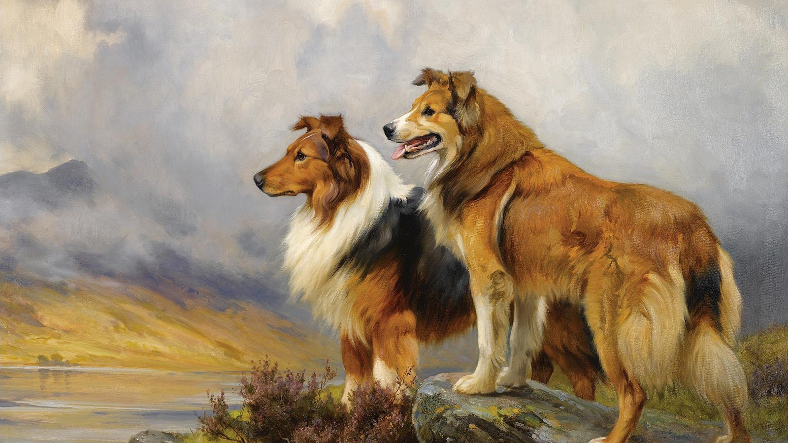 Картина с собаками колли
