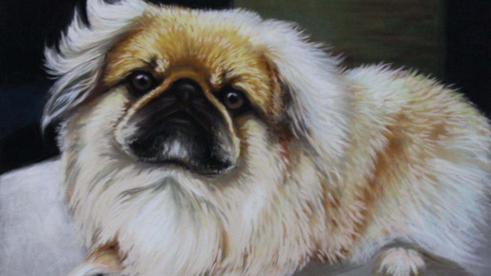 Пекинес на картине