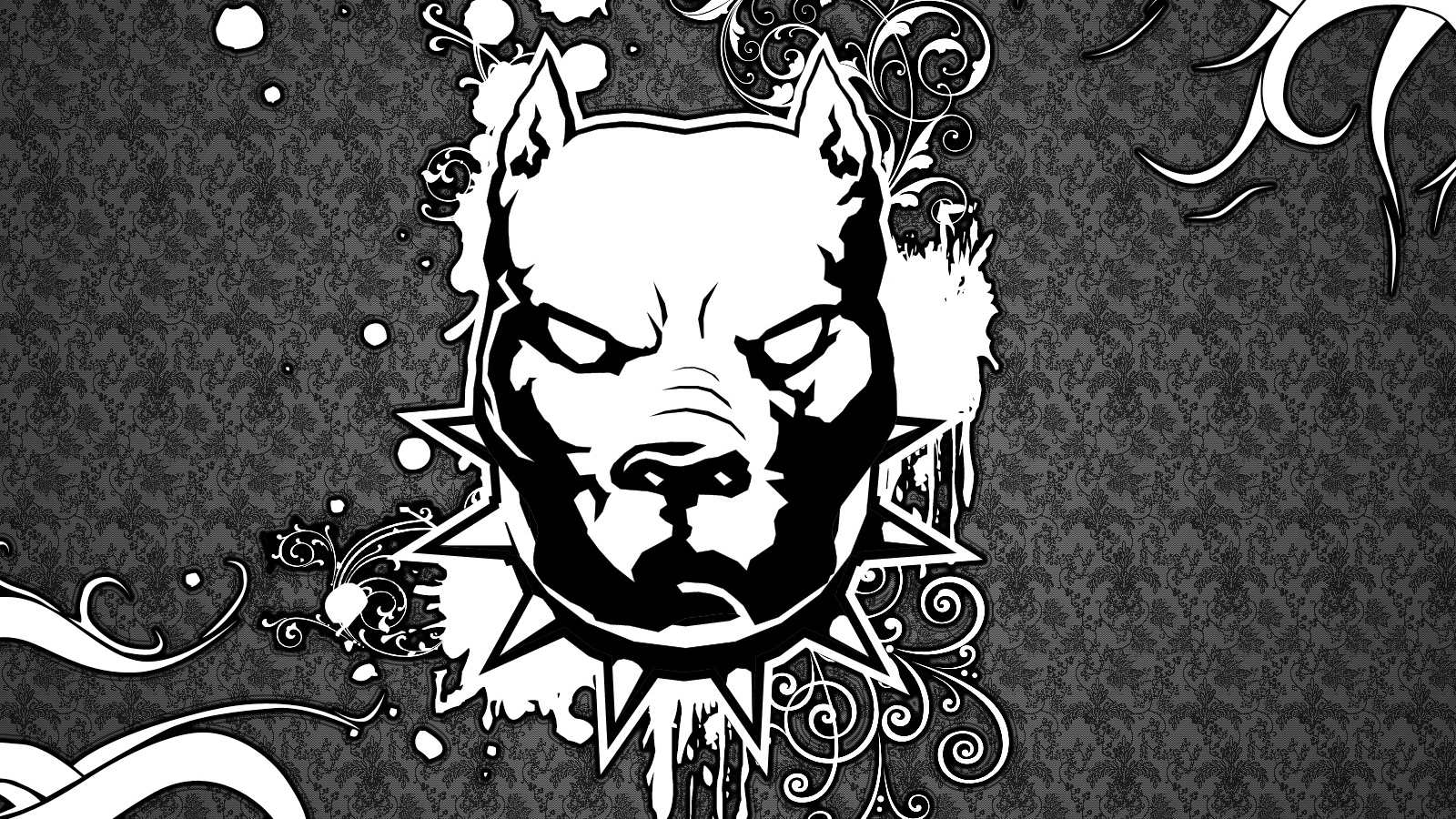 Изображение злого питбуля