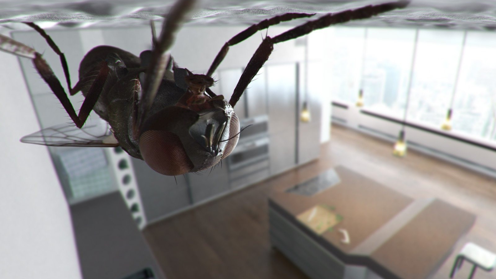 Муха сидит на потолке