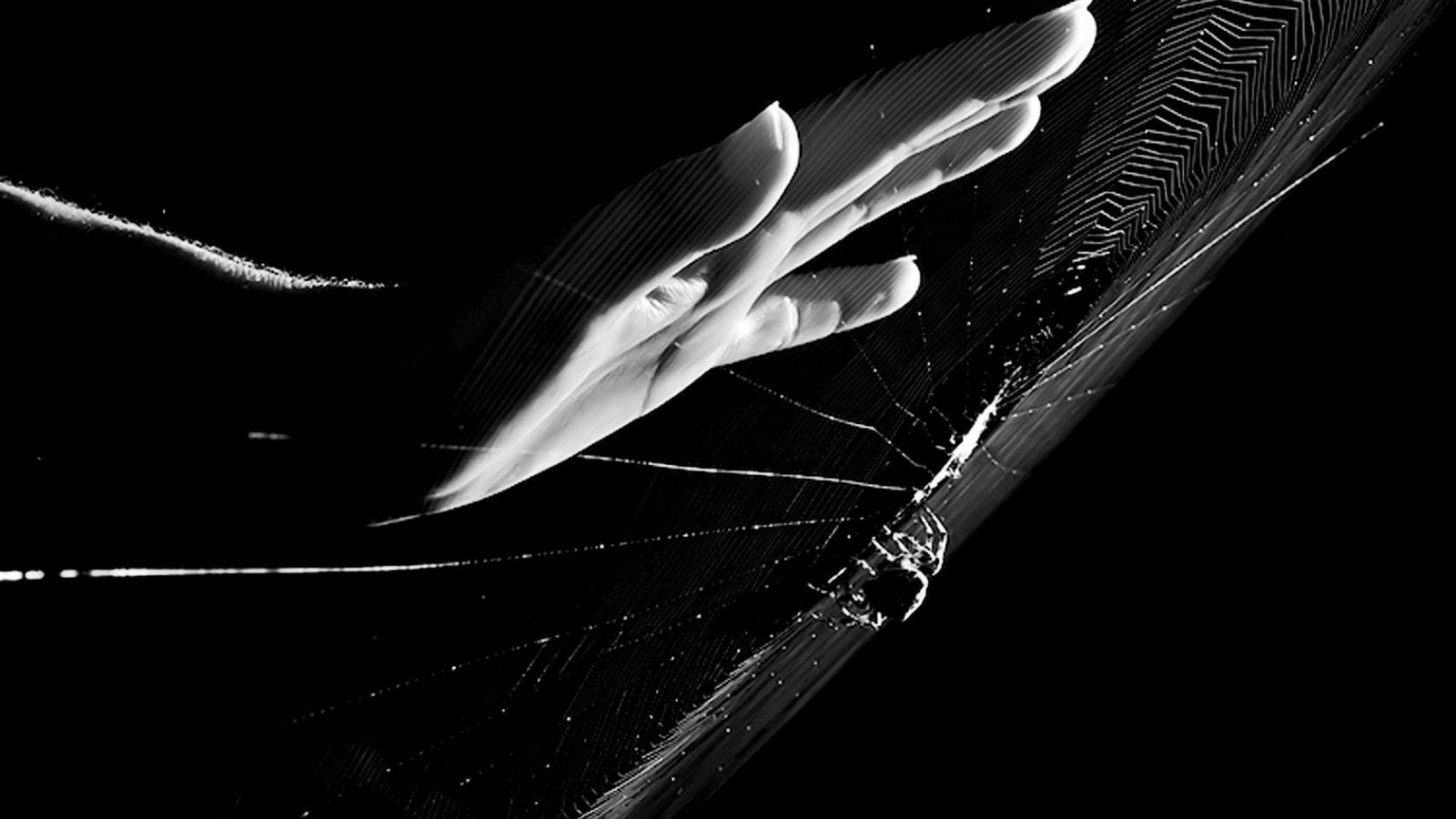 Рука у паутины