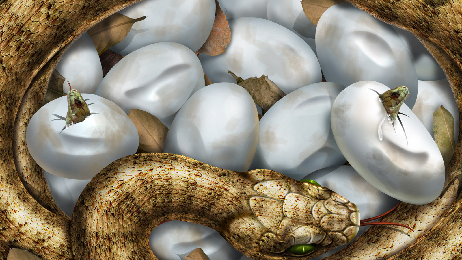 Змея и ее потомство