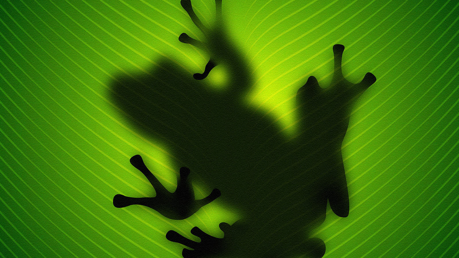 Силуэт лягушки