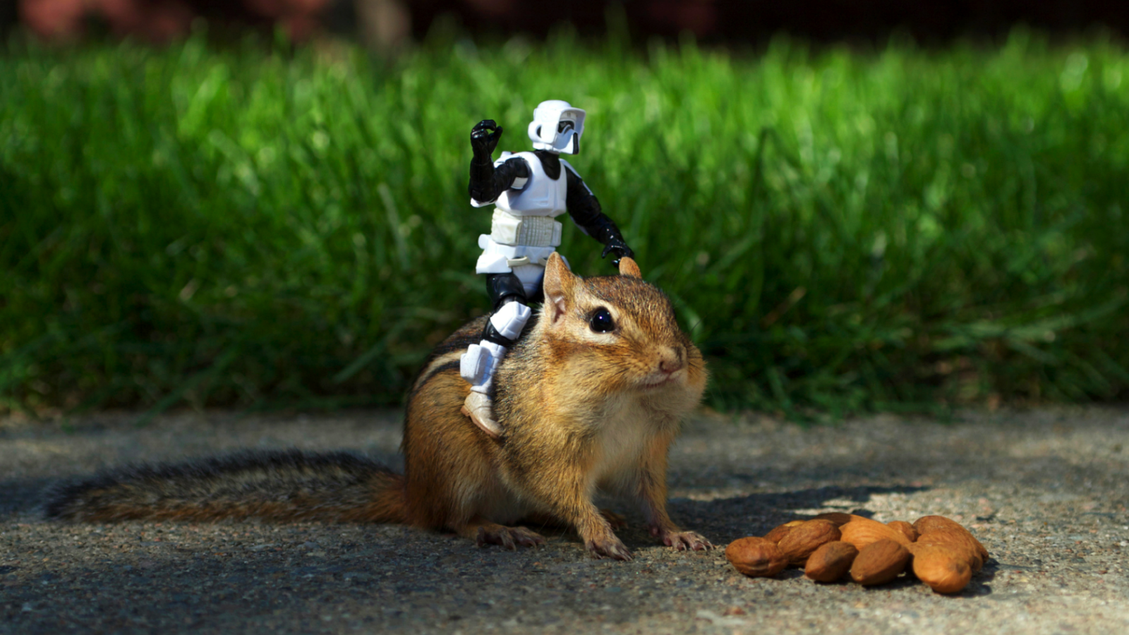 Робот верхом на бурундуке