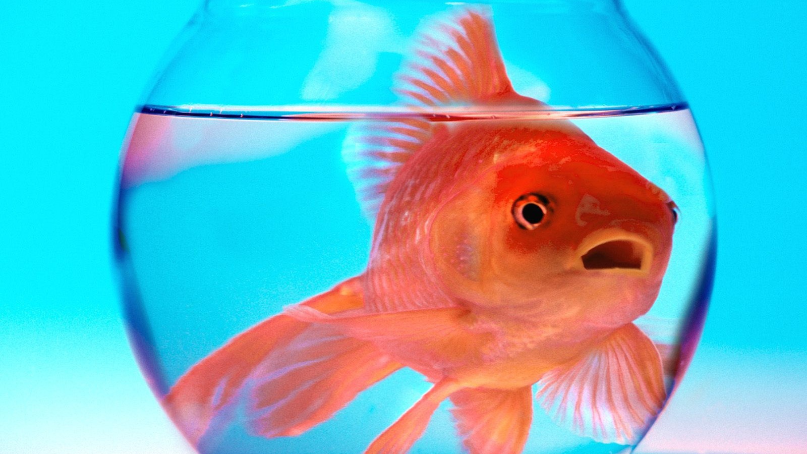 Не волнуйся