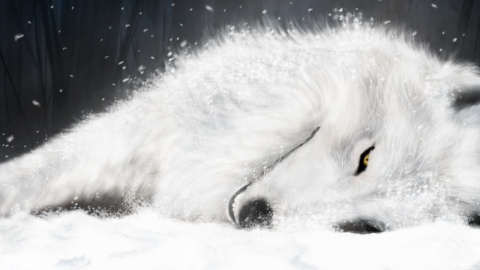 Белая лиса на снегу 
