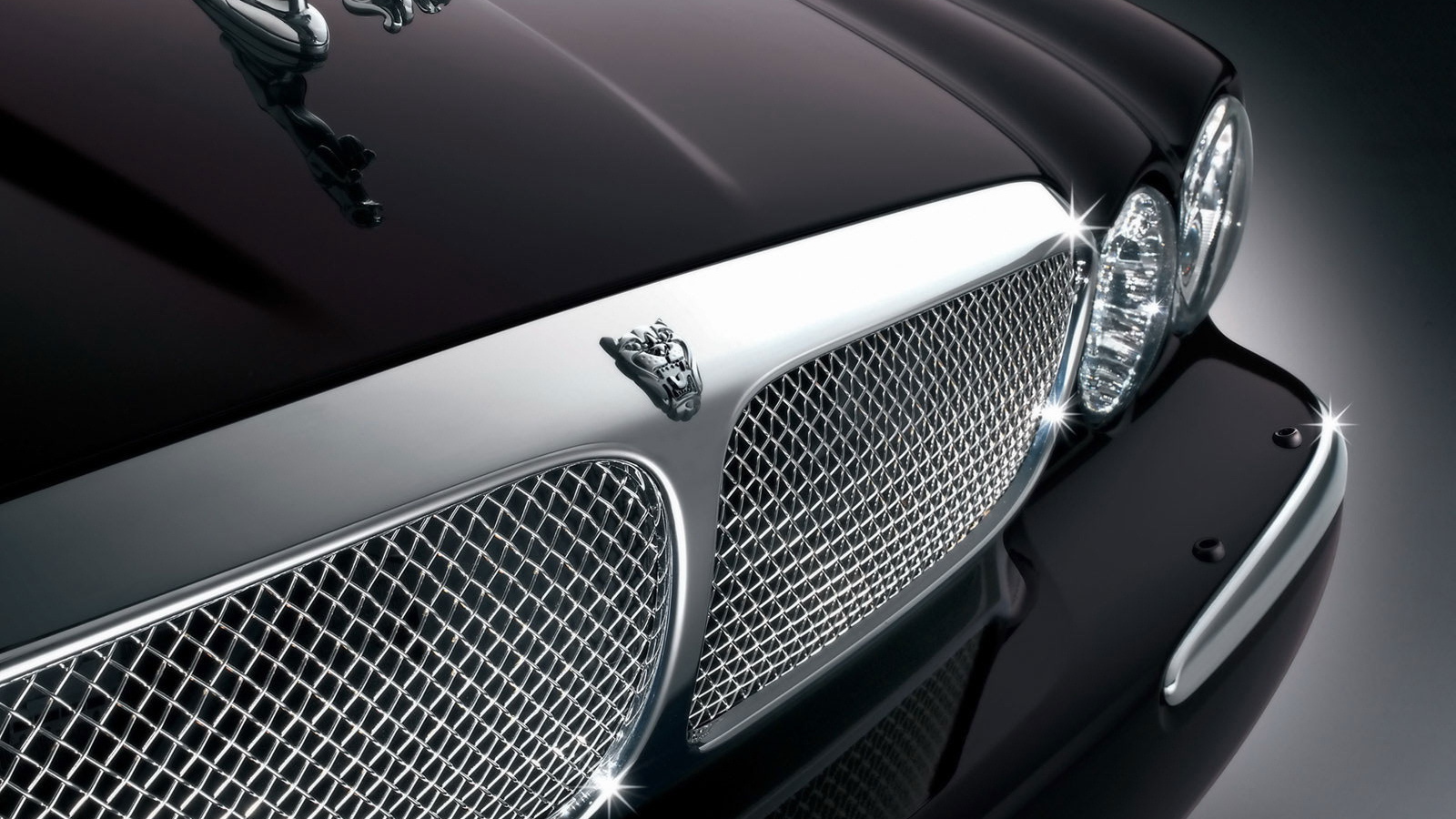 Передок Ягуара