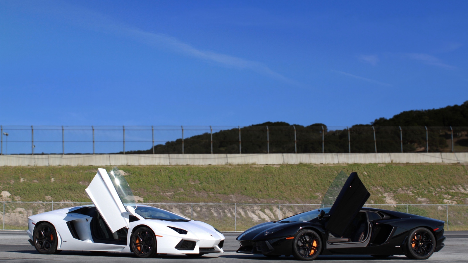 Белый и черный ламборджини