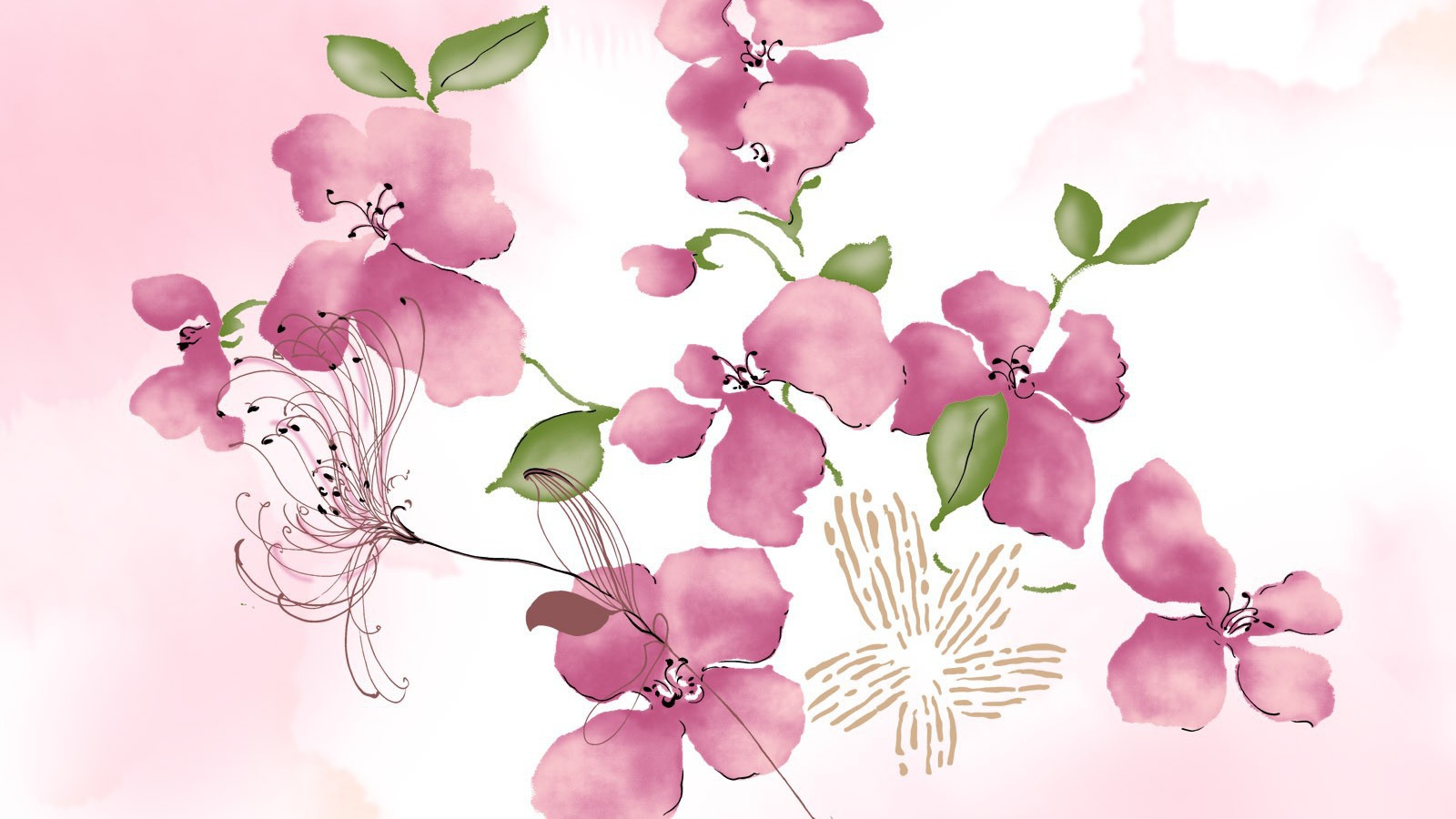 Розовые цветы на белом фоне