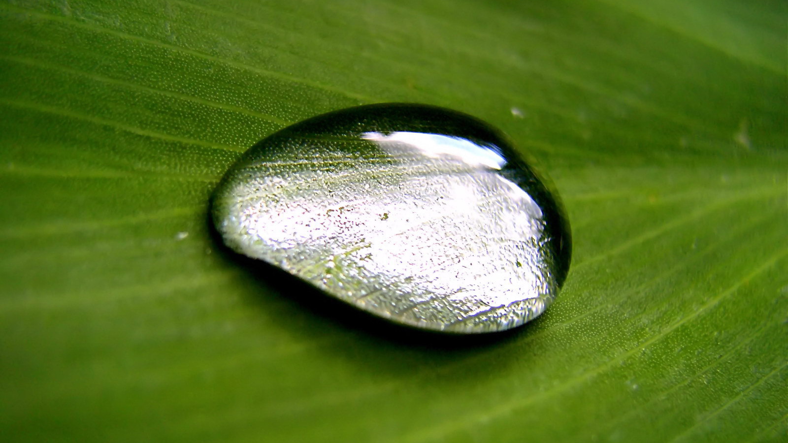 Большая капля