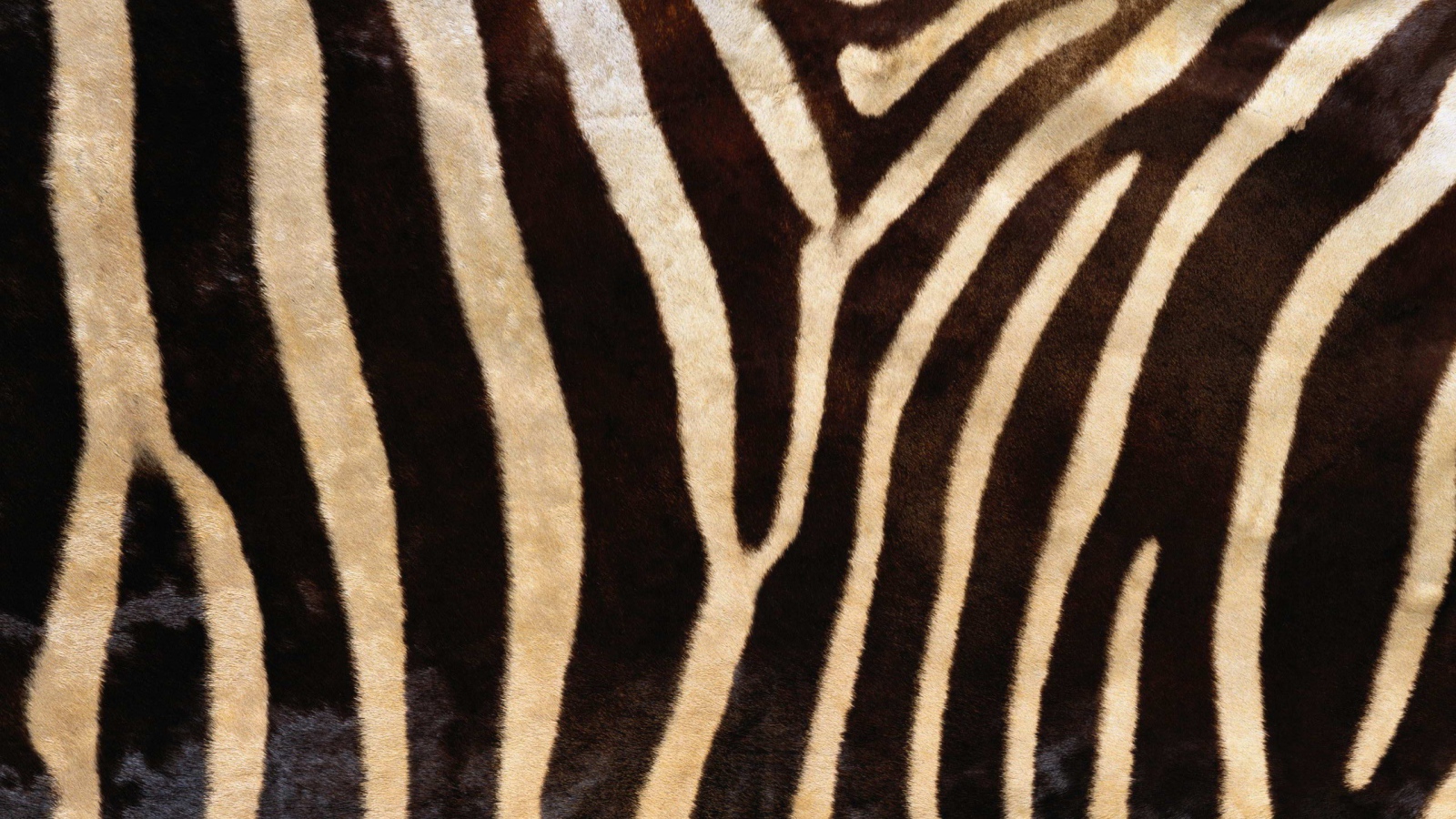Мех зебры