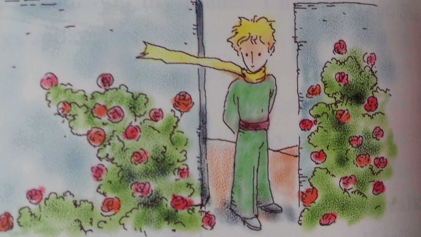 Книга о приключениях маленького принца