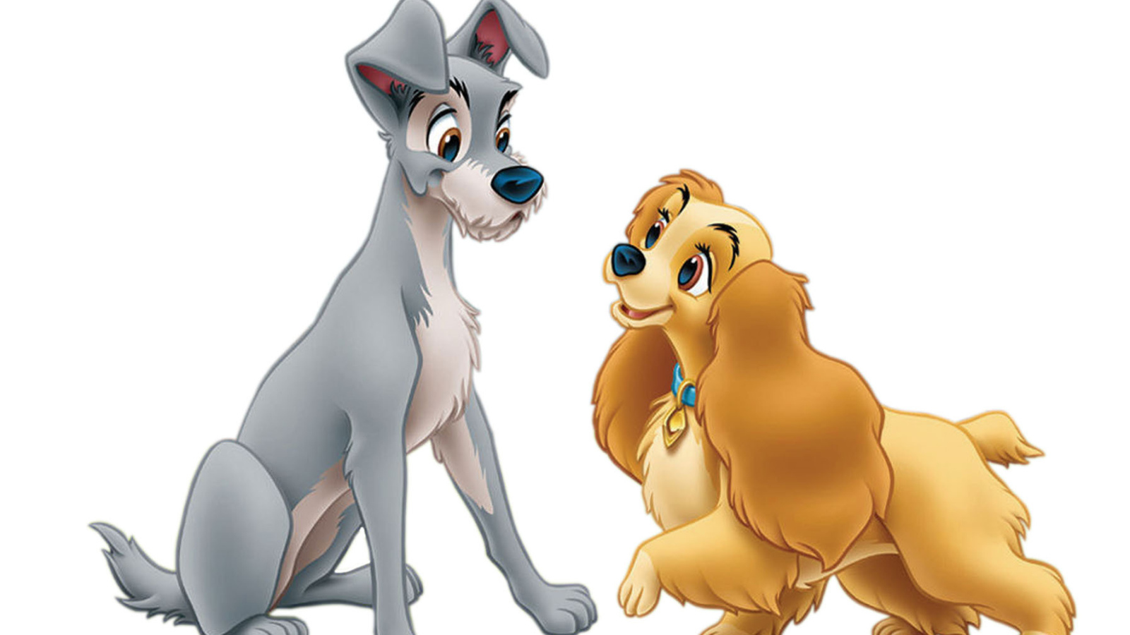 Леди и бродяга