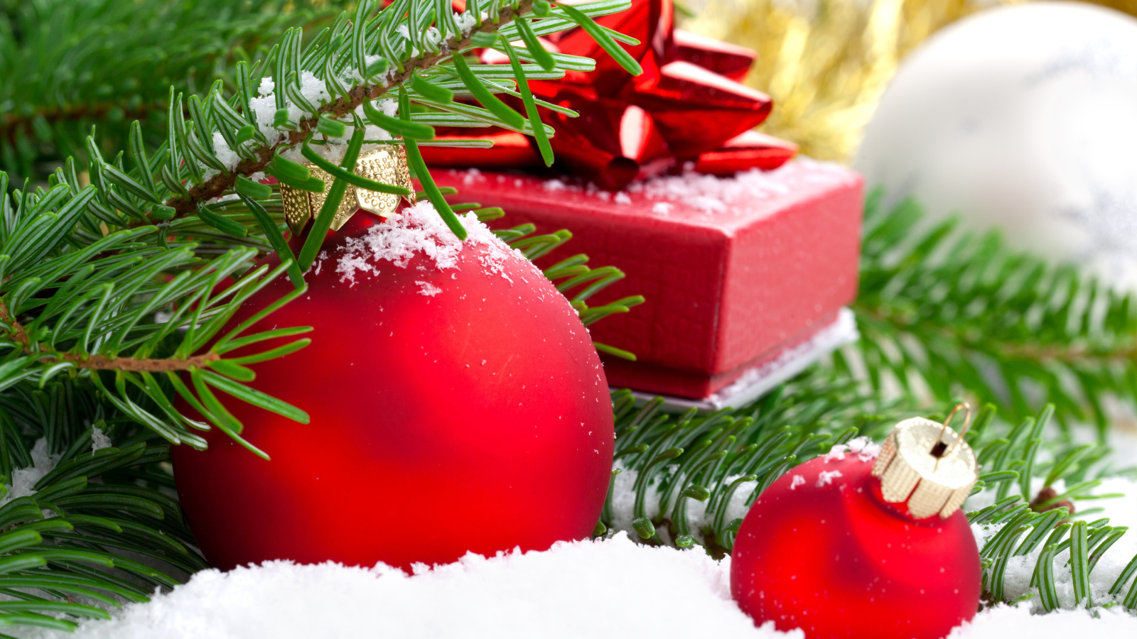 Ветки елки и красные шары