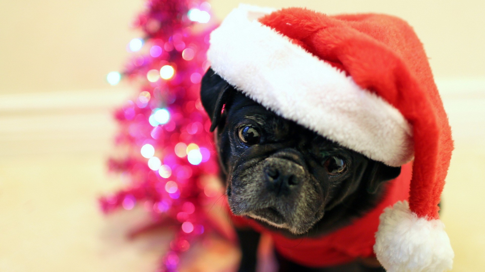 Рождественская собака