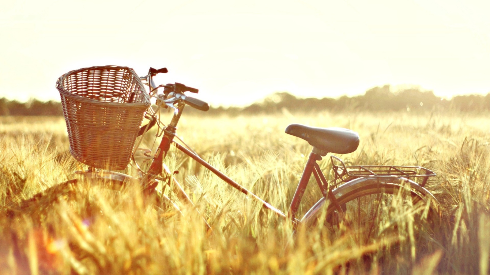 Велосипед в поле