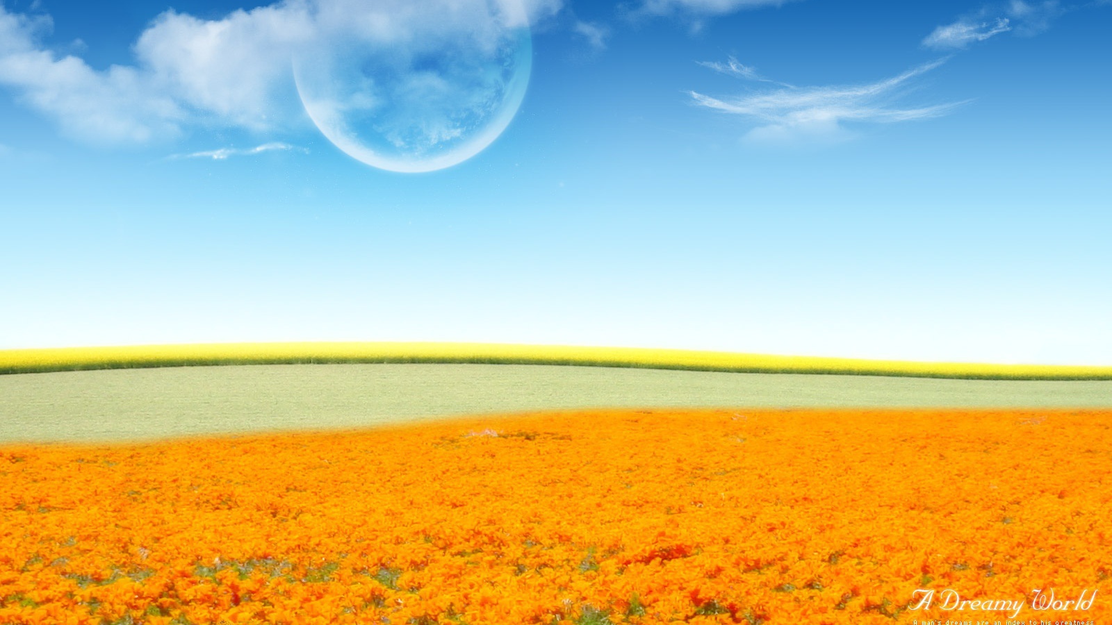 Фантастический мир цветов