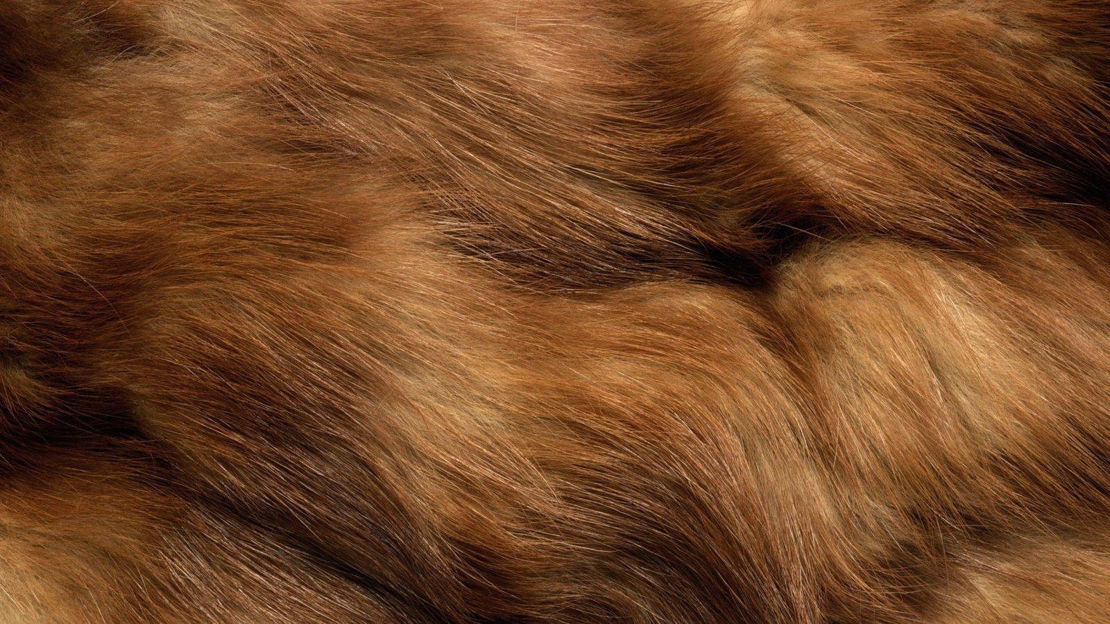 Мех животного