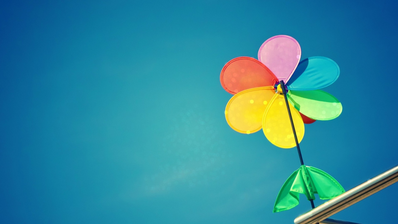 Cемицветик с листом