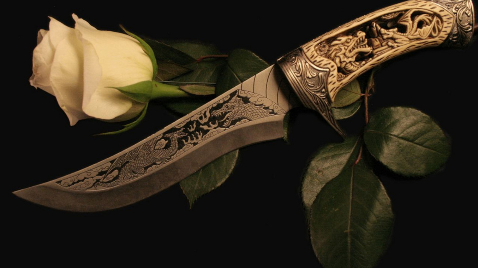 Белая роза и кинжал