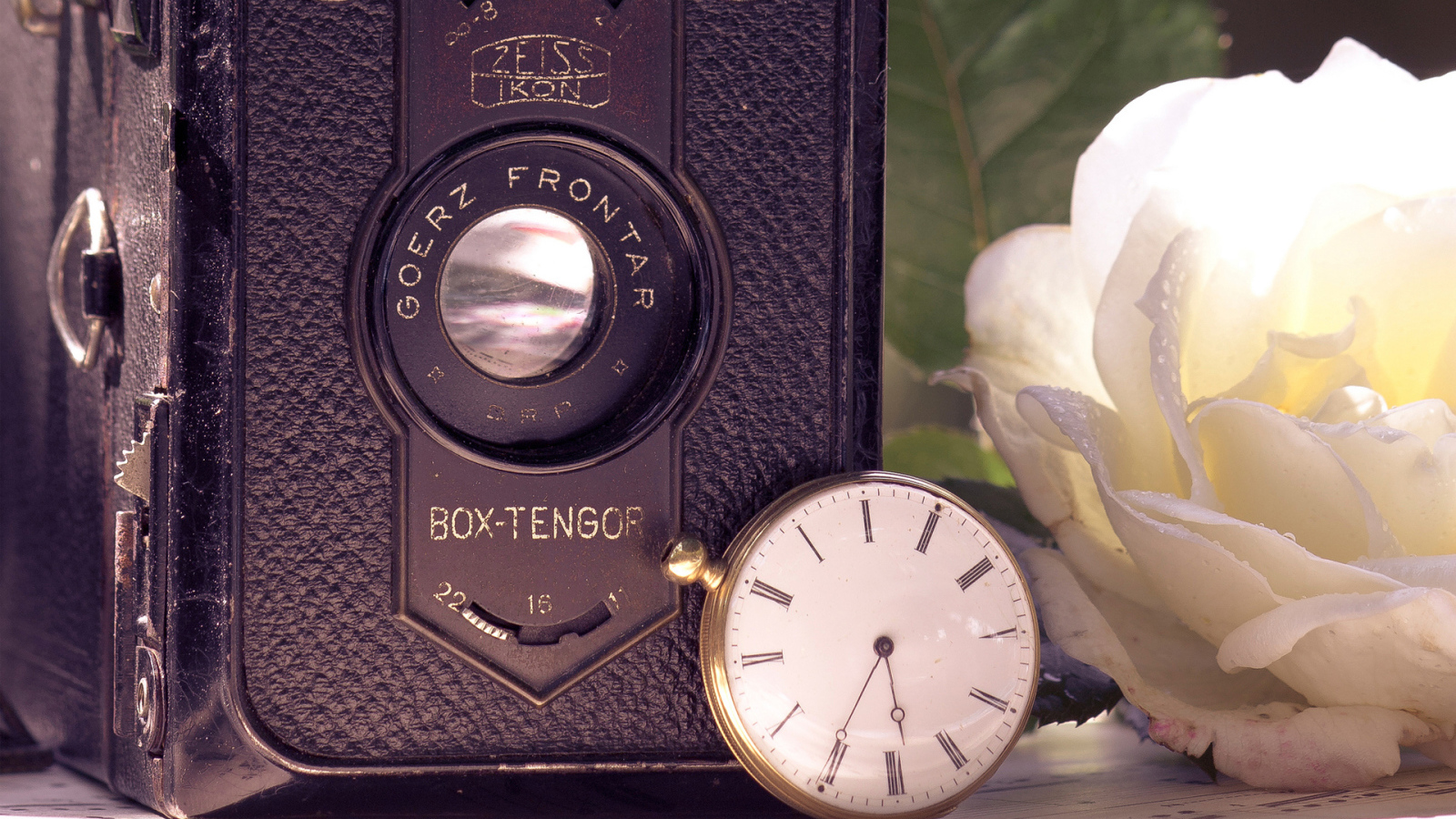 Ретро фотоаппарат и роза