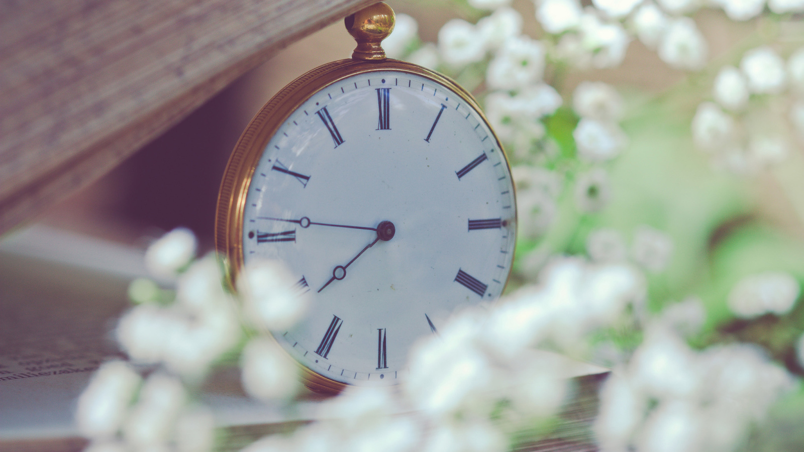 Белые карманные часы