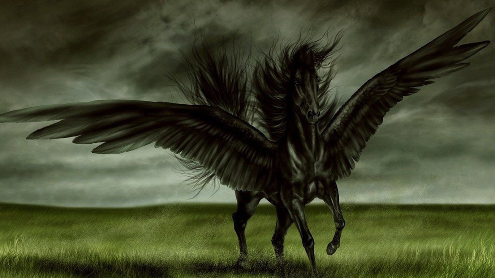 Черная лошадь с крыльями