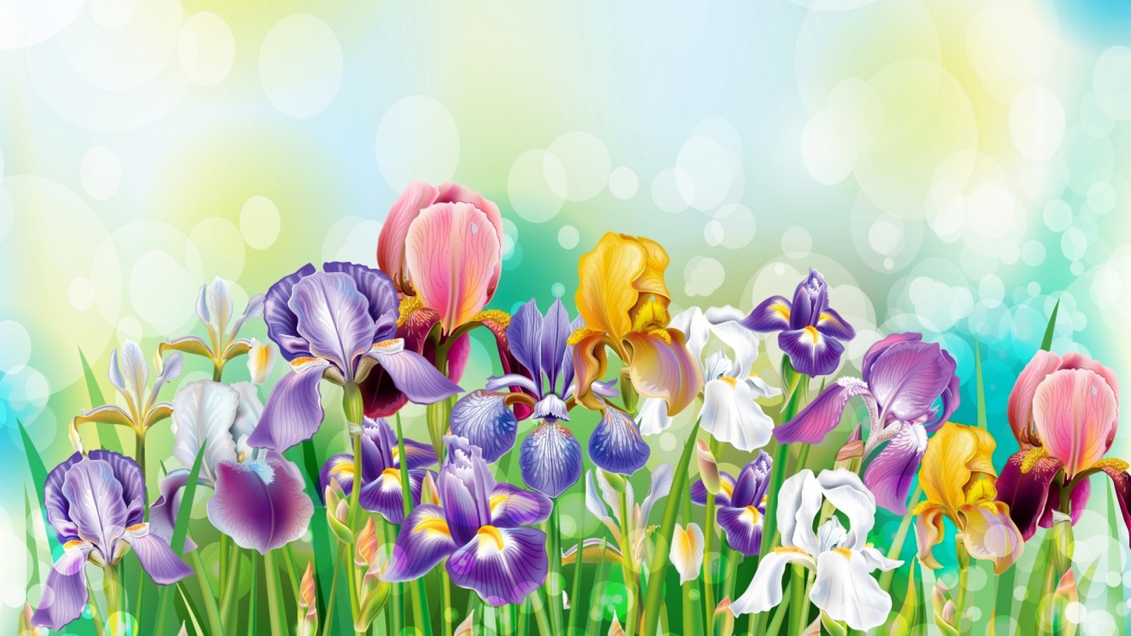 Букет полевых цветов