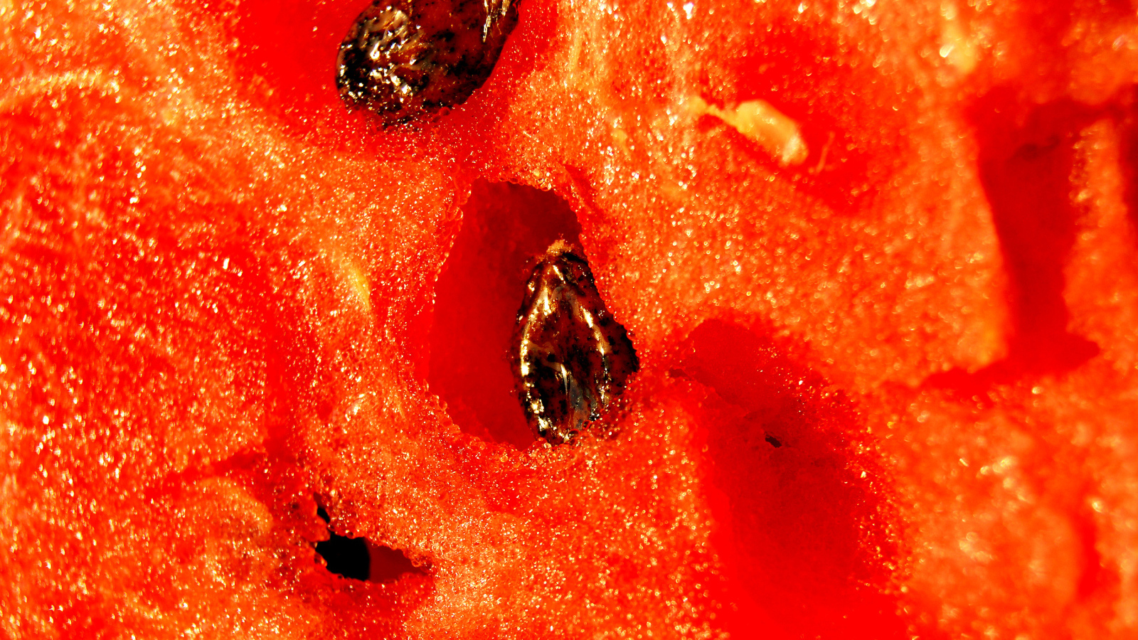 Яркий сочный арбуз