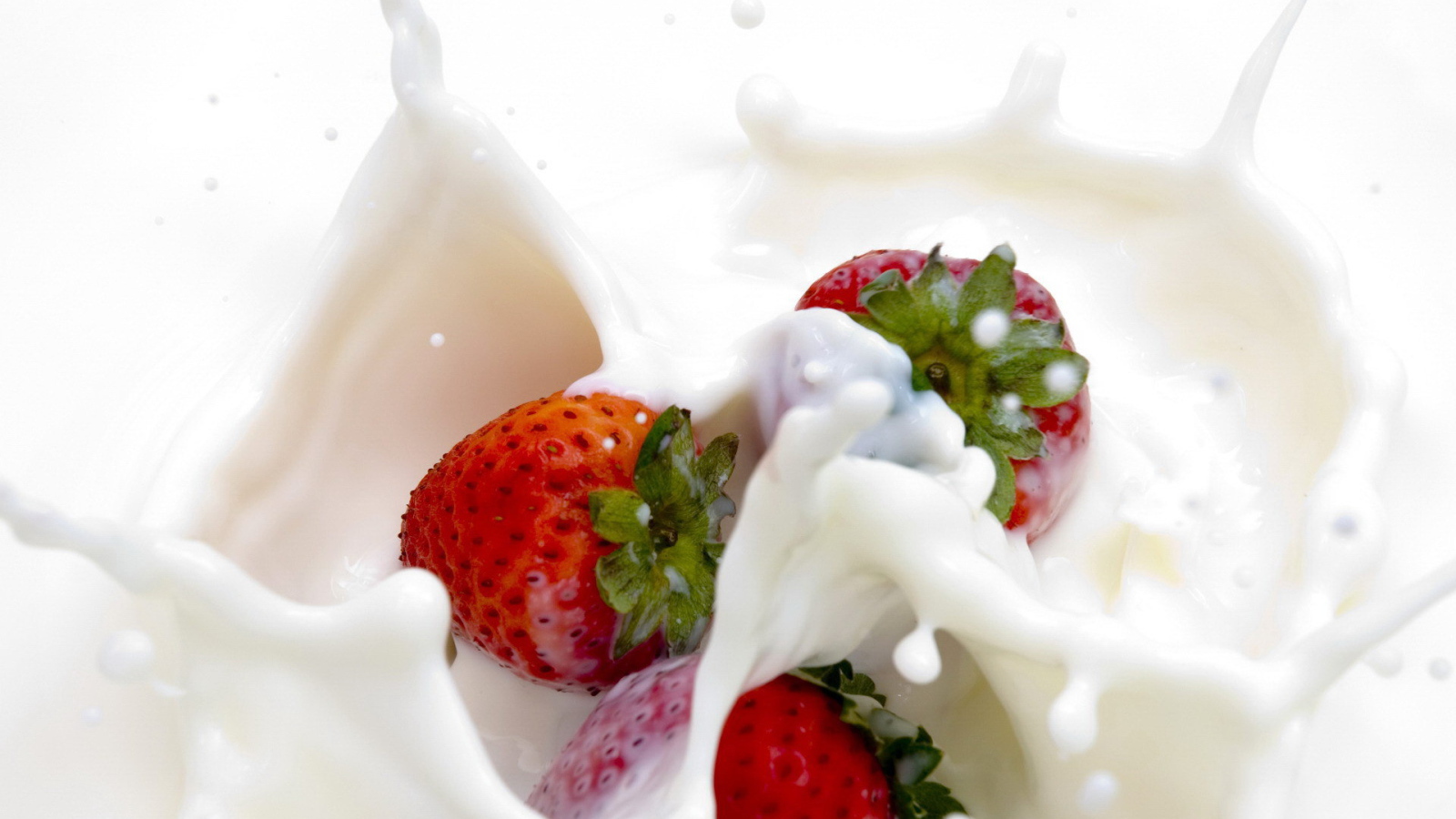 	   Strawberries dipped in milk splashes