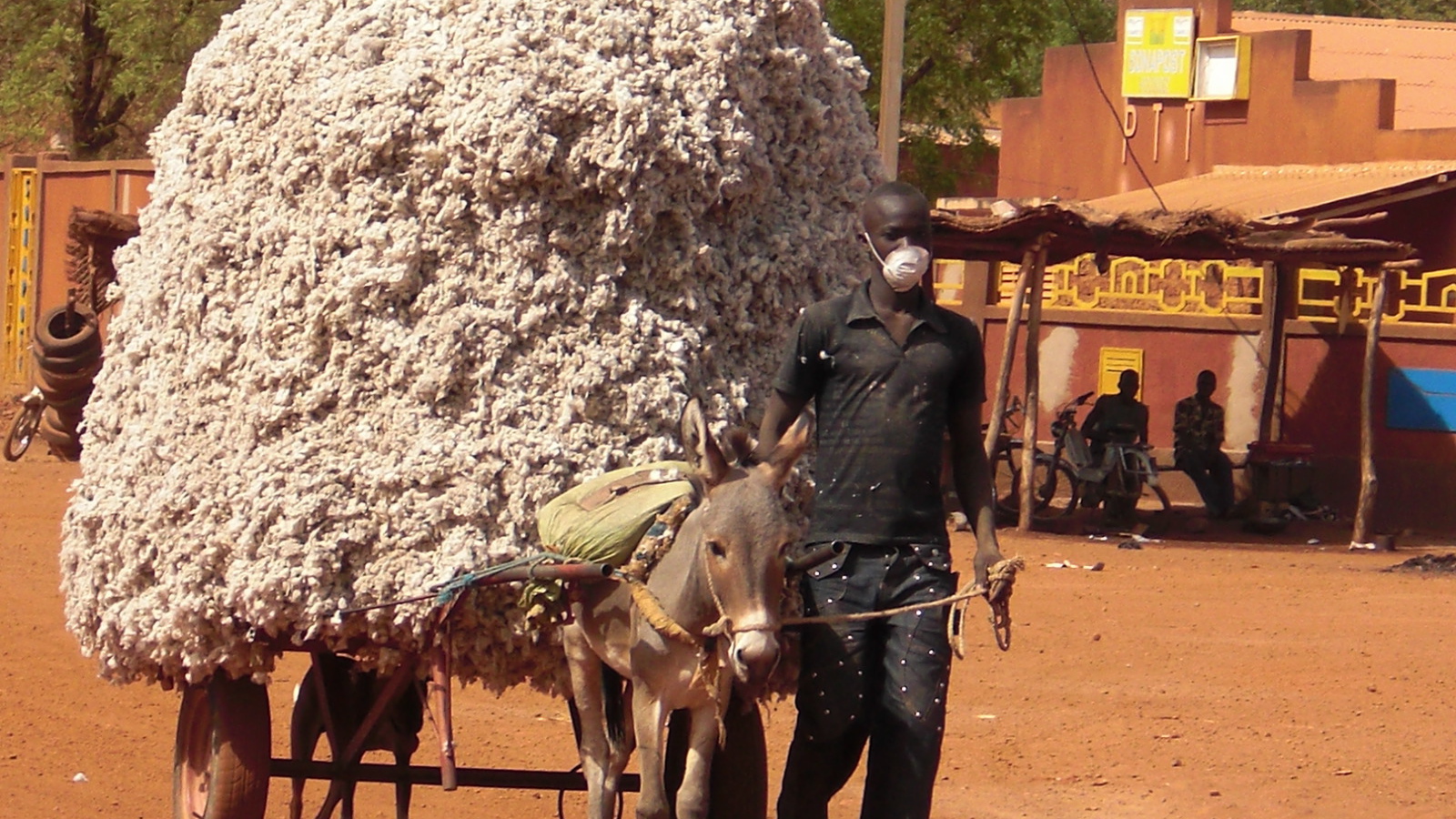 Маленький осел везет большой воз