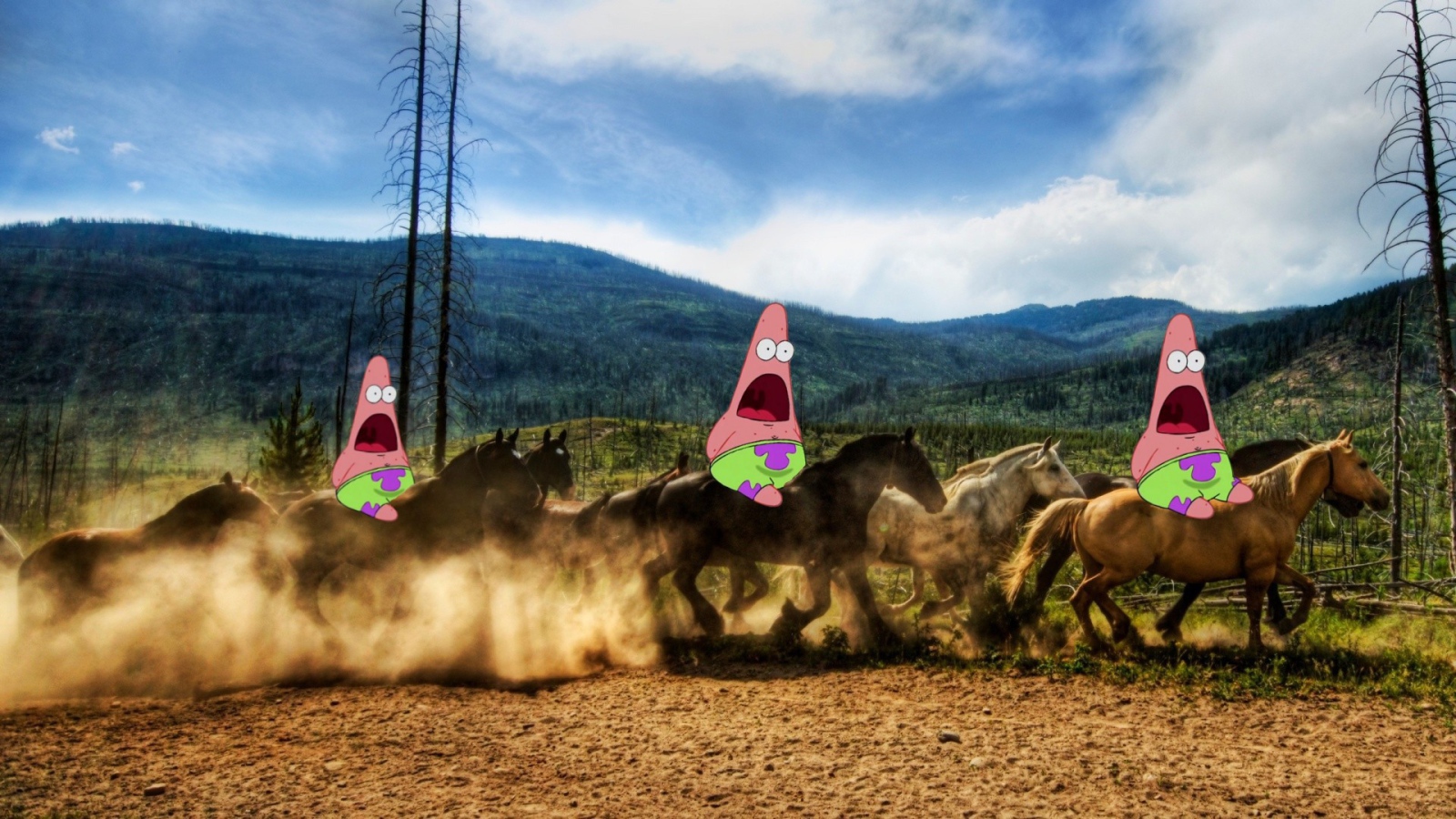 Патрик на лошадях