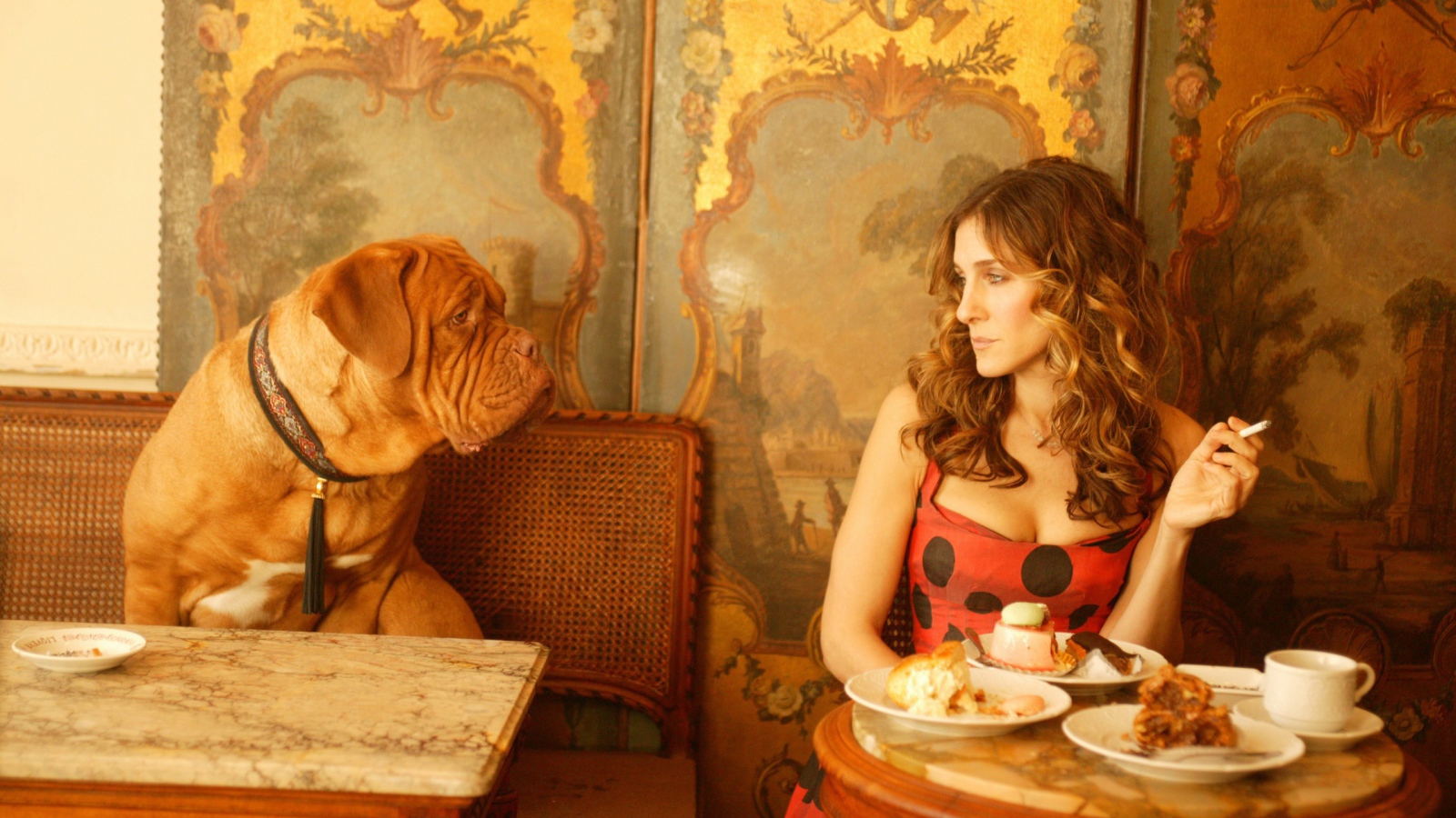 Собака просит еще еды