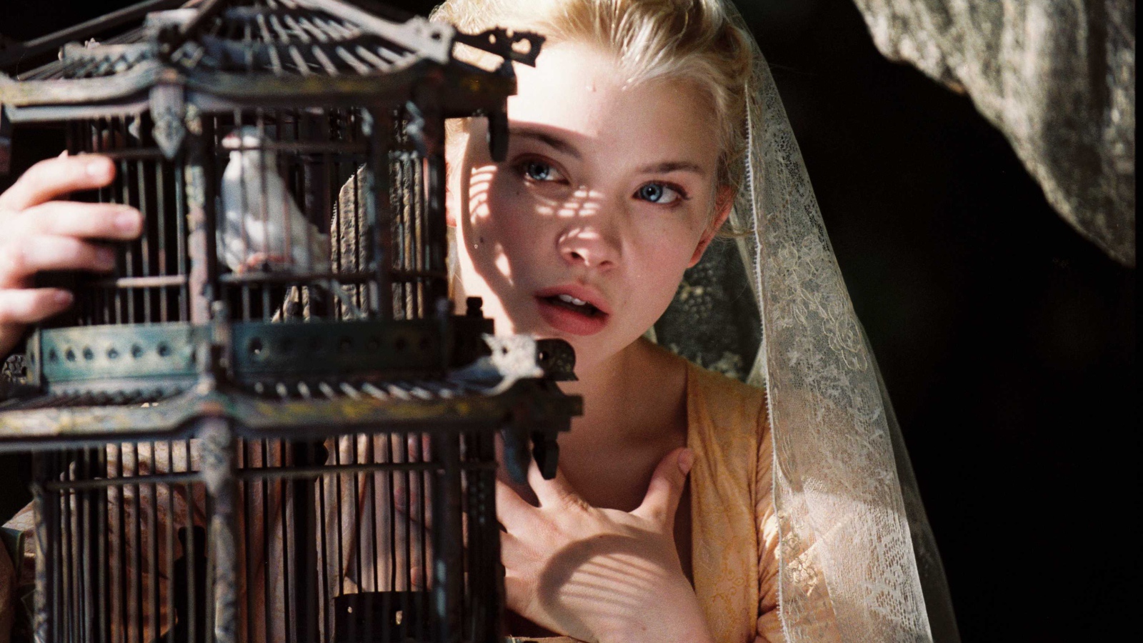 Популярная Натали Дормер